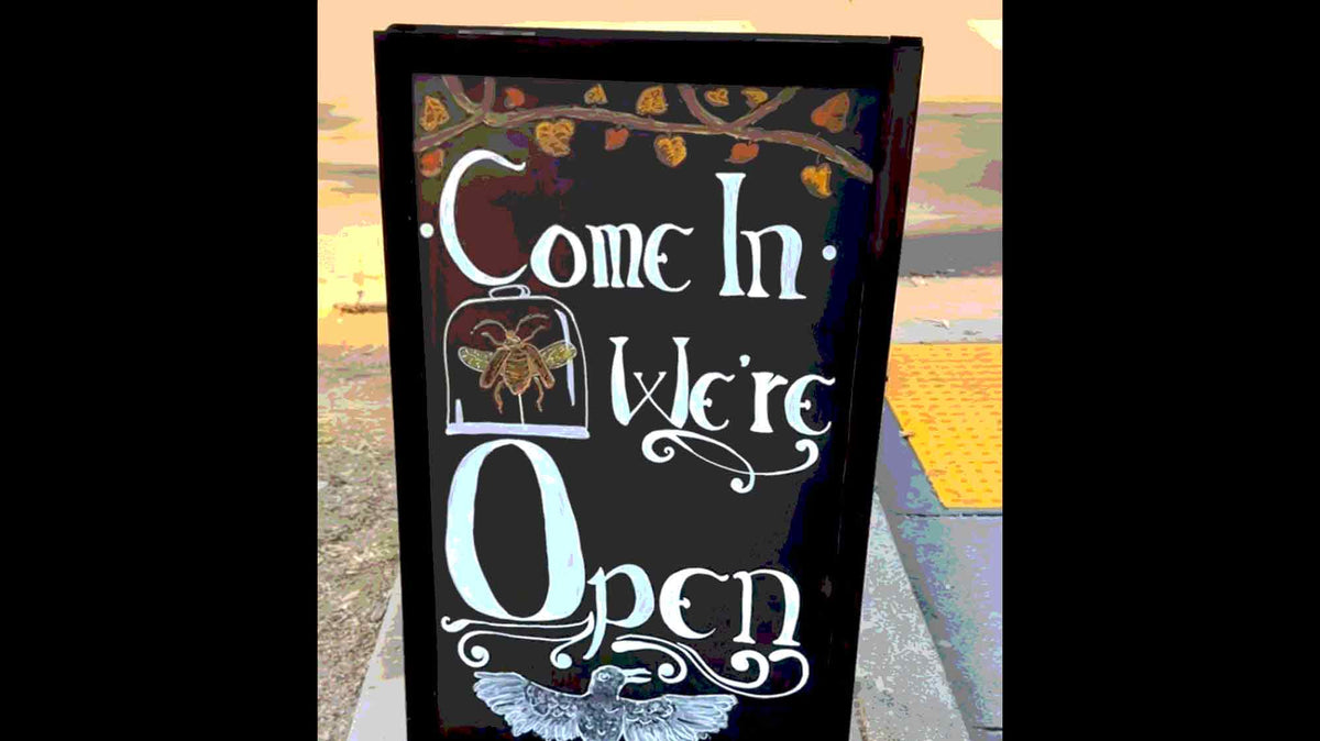 Local Review - POV: You just found Sacramento’s newest oddities shop